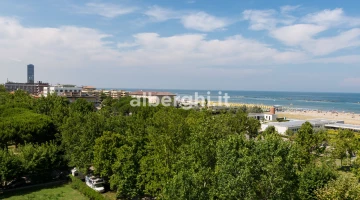 Panoramica