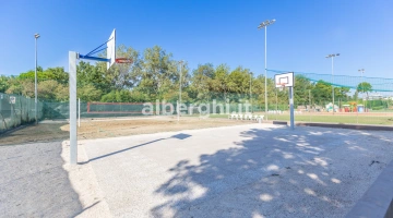 Basketball court