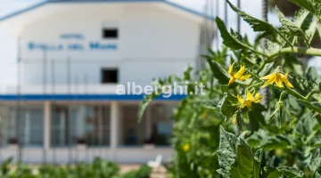 Notre hôtel entouré de verdure à deux pas de la mer