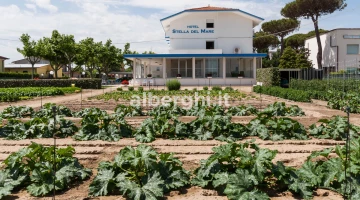 Notre hôtel entouré de verdure à deux pas de la mer