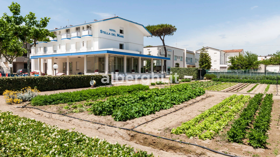 Notre hôtel entouré de verdure à deux pas de la mer