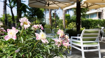 Ausgestatteter Garten