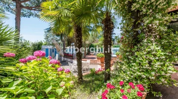 Großer und gepflegter Garten