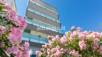 Hotel Flaminio