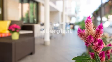 Hotelgarten
