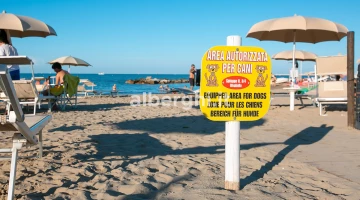 Strand für unsere vierbeinigen Freunde