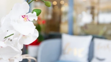 Details zur Veranda