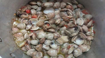 Vongole
