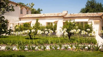 Accommodations with private patios