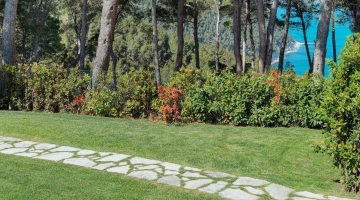 Garden with sea view