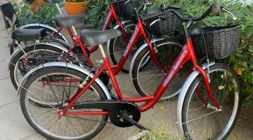 Biciclette a noleggio