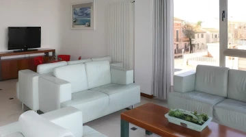 Common living area with sofas and TV