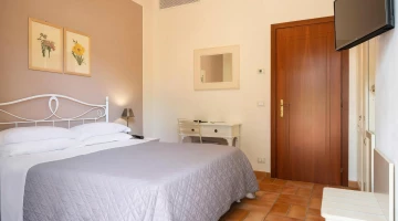 Standard double room