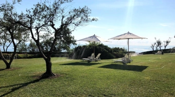 Espaces de détente avec chaises longues et parasols