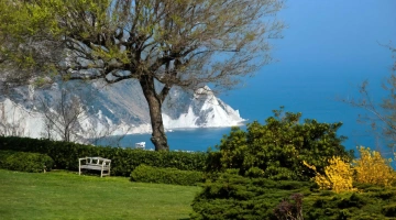 Vue panoramique depuis la structure