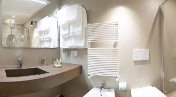 Ensuite bathroom with shower box