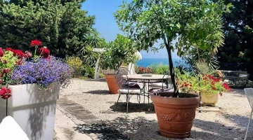Plants and flowers in the garden