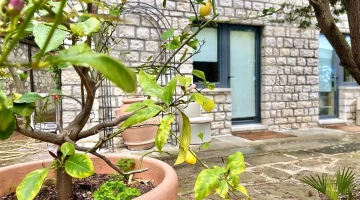 Rooms overlooking the garden