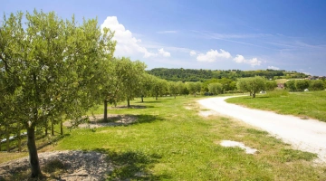 Spazi di verde intorno all'hotel