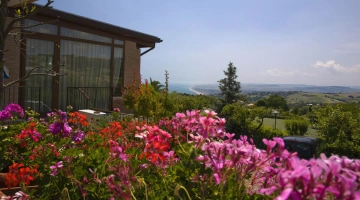 Veranda panoramica del ristorante in loco