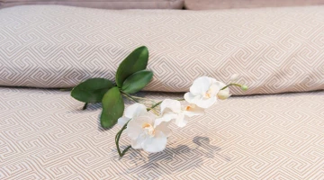 Room detail