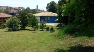 Structure surrounded by greenery