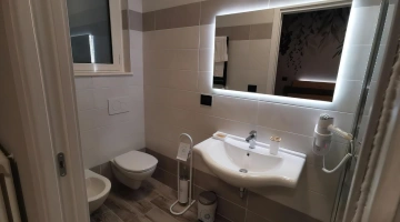 Private bathroom with wall-mounted hairdryer
