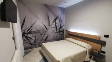 Chambre double avec TV