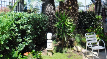 Petit jardin dans l&#39;hôtel