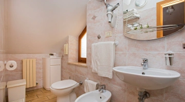 Private bathroom in the annex