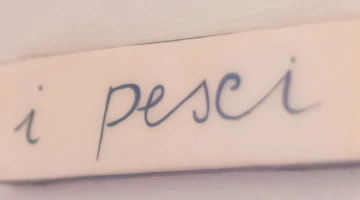 Ingresso camera matrimoniale I Pesci