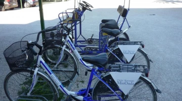 Bicycles for rent