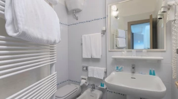 Private bathroom with wall-mounted hairdryer