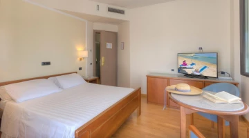 Suite with a TV and living area