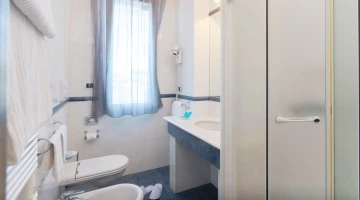Private bathroom with wall-mounted hairdryer