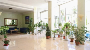 Large and bright hall
