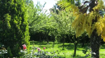Jardin de la propriété
