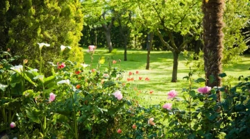 Fleurs dans le jardin
