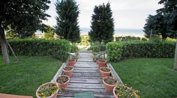 Garden area
