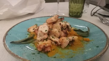 Octopus