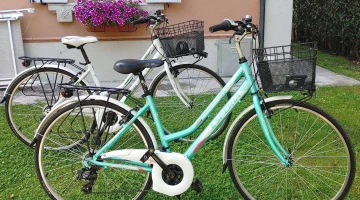 Traditionelle Fahrräder