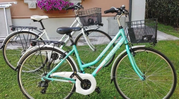 vélos traditionnels