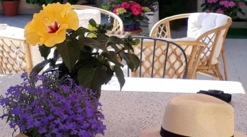 Gemeinsame Terrasse
