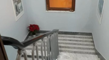 Skala intern