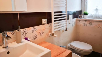 Private facilities in the room