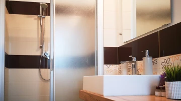 Ensuite bathroom with shower box