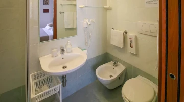 Private bathroom with wall-mounted hairdryer