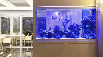 Dettaglio hall con acquario