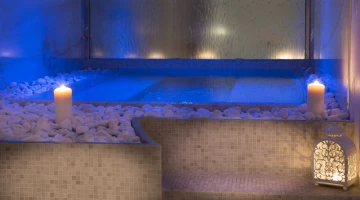Dettaglio spa