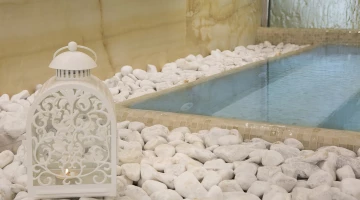 Dettaglio spa
